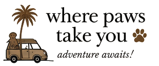 Where Paws Take You